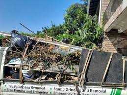 Professional Junk Removal Services in Sky Lake, FL